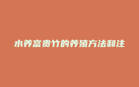 水养富贵竹的养殖方法和注意事项