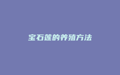 宝石莲的养殖方法