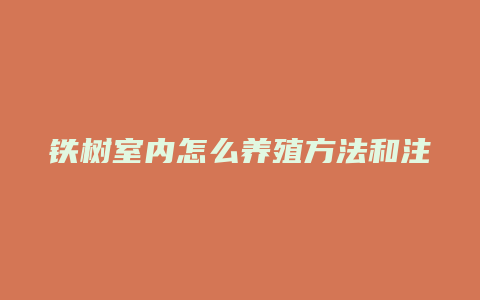 铁树室内怎么养殖方法和注意事项