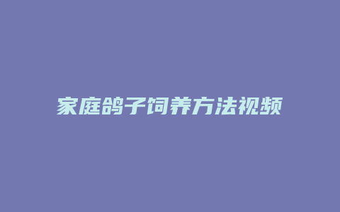 家庭鸽子饲养方法视频