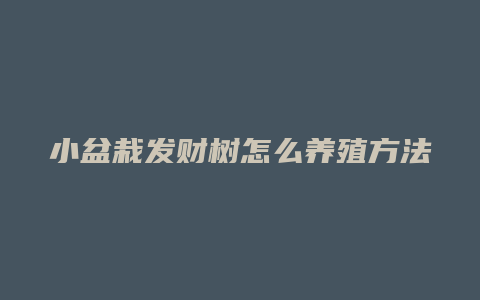 小盆栽发财树怎么养殖方法如下