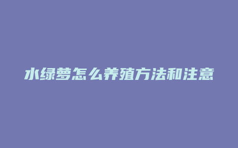 水绿萝怎么养殖方法和注意事项