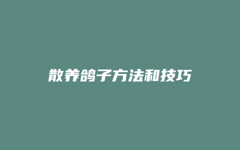 散养鸽子方法和技巧