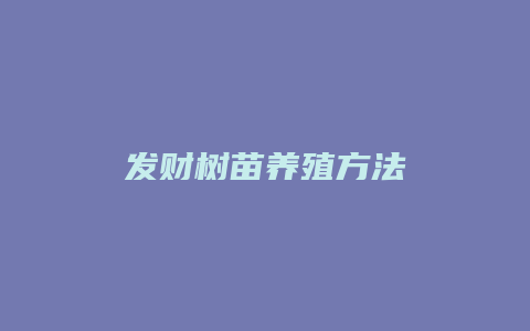 发财树苗养殖方法