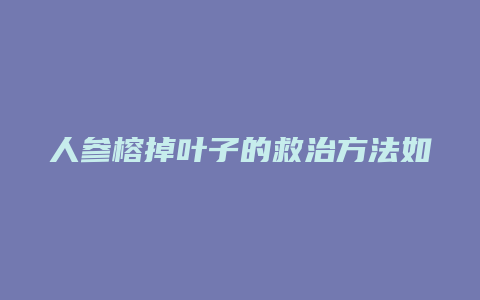 人参榕掉叶子的救治方法如下