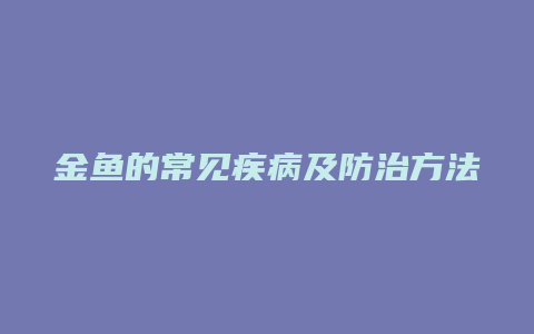 金鱼的常见疾病及防治方法