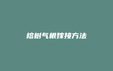 榕树气根嫁接方法