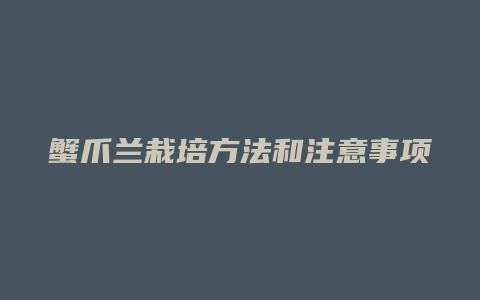 蟹爪兰栽培方法和注意事项