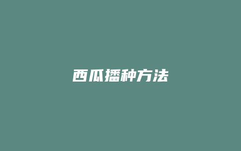 西瓜播种方法