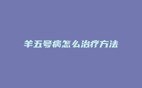 羊五号病怎么治疗方法