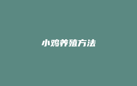 小鸡养殖方法