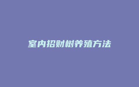 室内招财树养殖方法