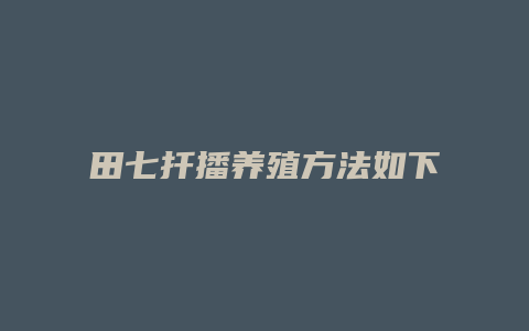 田七扦播养殖方法如下