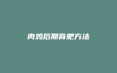 肉鸡后期育肥方法