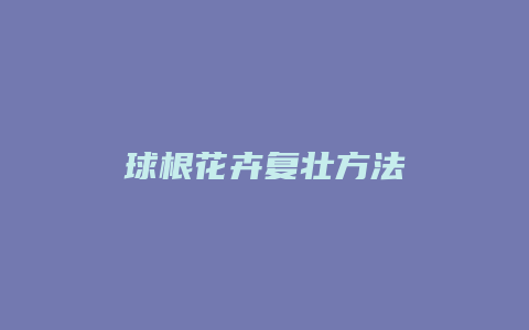 球根花卉复壮方法