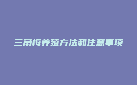 三角梅养殖方法和注意事项有哪些