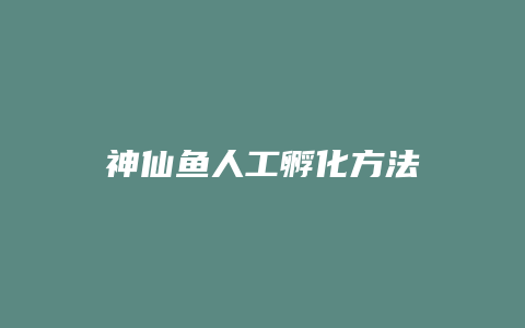 神仙鱼人工孵化方法