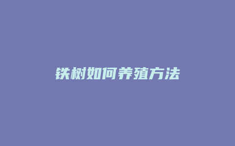 铁树如何养殖方法