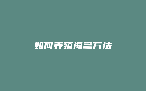 如何养殖海参方法