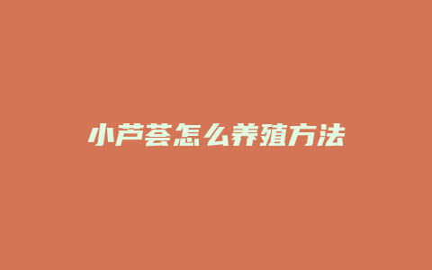 小芦荟怎么养殖方法