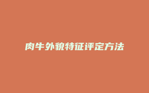 肉牛外貌特征评定方法