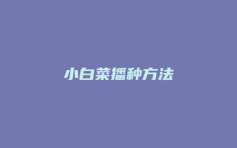 小白菜播种方法