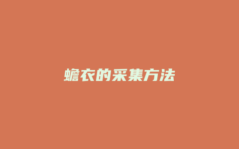 蟾衣的采集方法