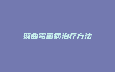 鹅曲霉菌病治疗方法