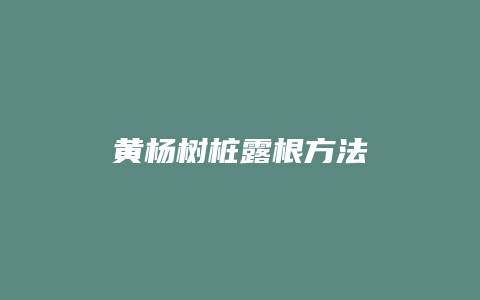 黄杨树桩露根方法