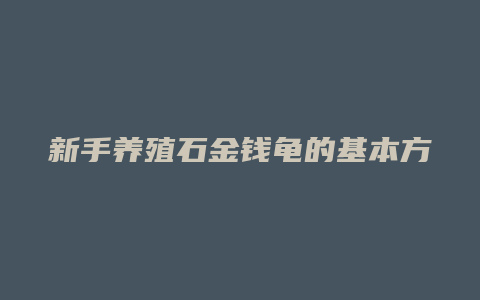 新手养殖石金钱龟的基本方法