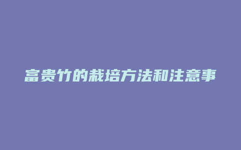 富贵竹的栽培方法和注意事项