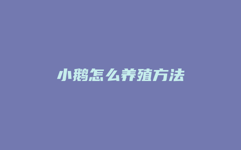 小鹅怎么养殖方法