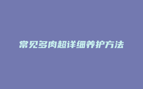 常见多肉超详细养护方法