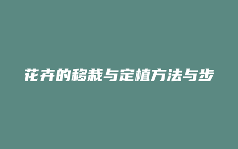 花卉的移栽与定植方法与步骤