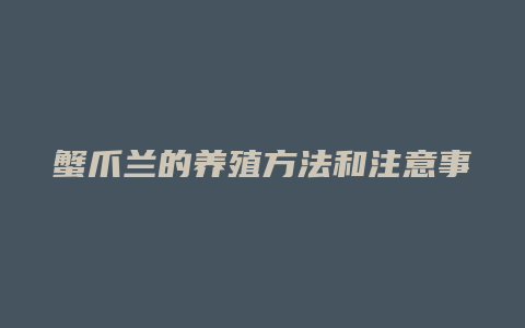 蟹爪兰的养殖方法和注意事项有哪些