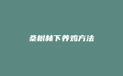 桑树林下养鸡方法