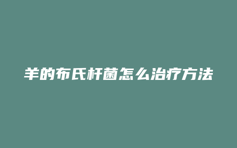 羊的布氏杆菌怎么治疗方法