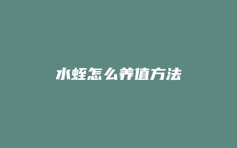 水蛭怎么养值方法