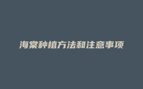 海棠种植方法和注意事项