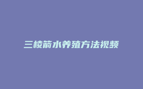 三棱箭水养殖方法视频