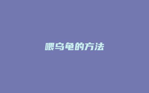 喂乌龟的方法