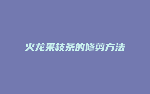 火龙果枝条的修剪方法