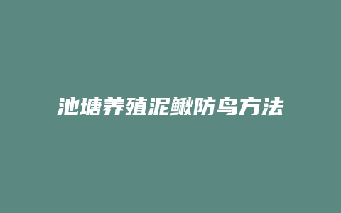 池塘养殖泥鳅防鸟方法