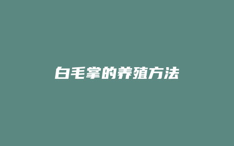 白毛掌的养殖方法