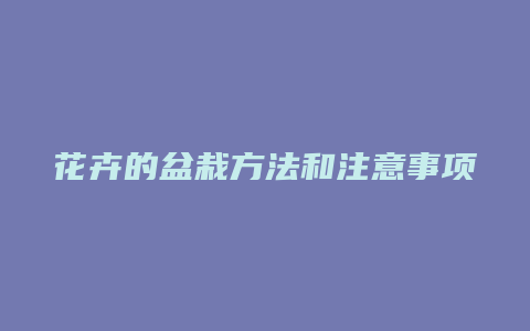 花卉的盆栽方法和注意事项