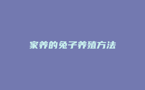 家养的兔子养殖方法