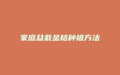 家庭盆栽金桔种植方法