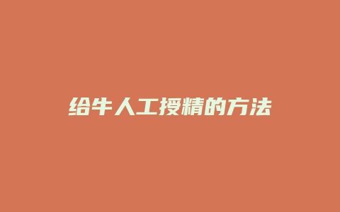 给牛人工授精的方法