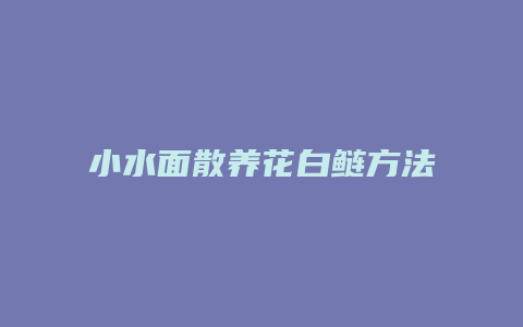 小水面散养花白鲢方法