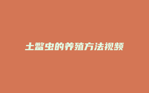 土鳖虫的养殖方法视频